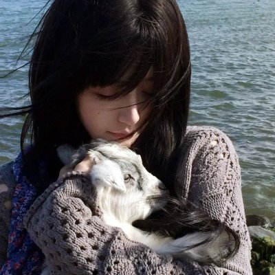 泽塔奥特曼 国语版