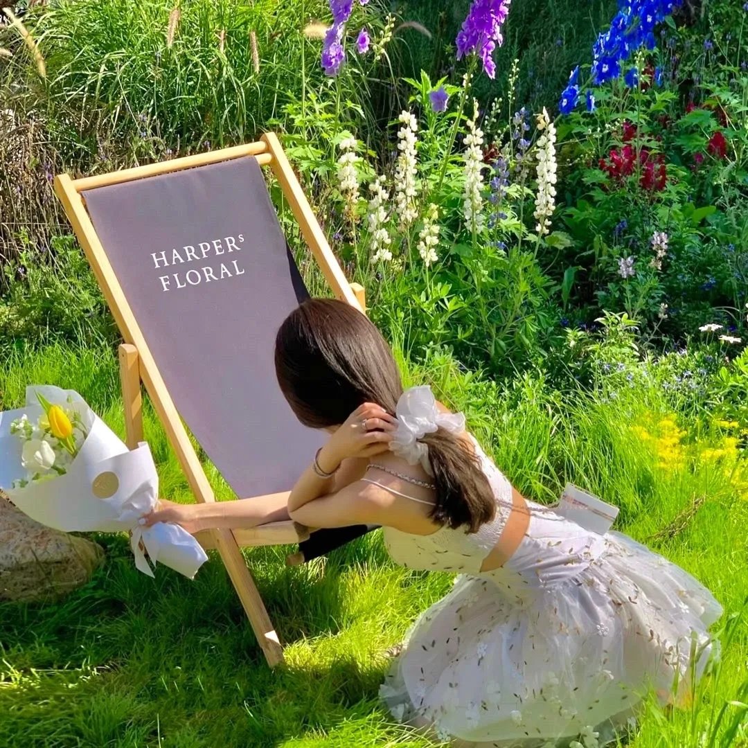 单人房、日照一般、附天使。